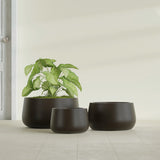 Short Hayden Bowl fiberglass planter in Matte Dark Brown, size range, in a sunlit interior