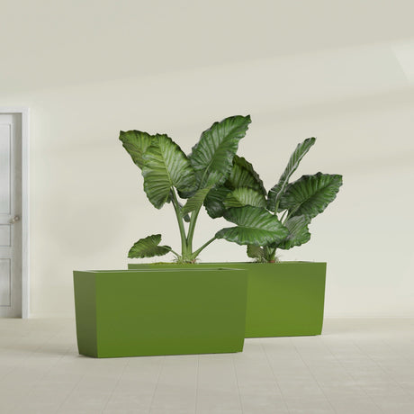 Panama Tapered Rectangular fiberglass planter in Satin Green, shown planted, in a sunlit interior