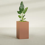 Darwin Corner fiberglass planter in Matte Terra Cotta, shown planted, in a sunlit interior