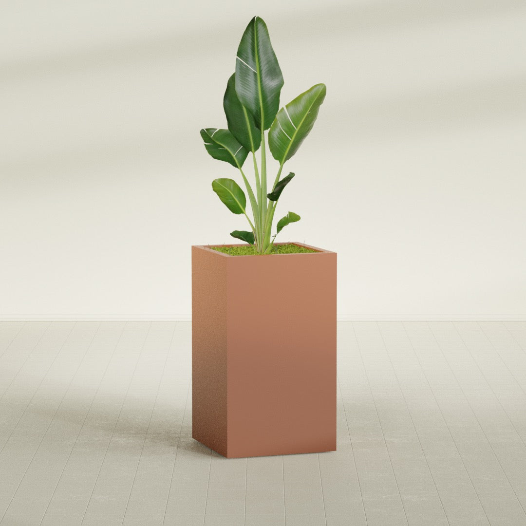 Darwin Corner fiberglass planter in Matte Terra Cotta, shown planted, in a sunlit interior