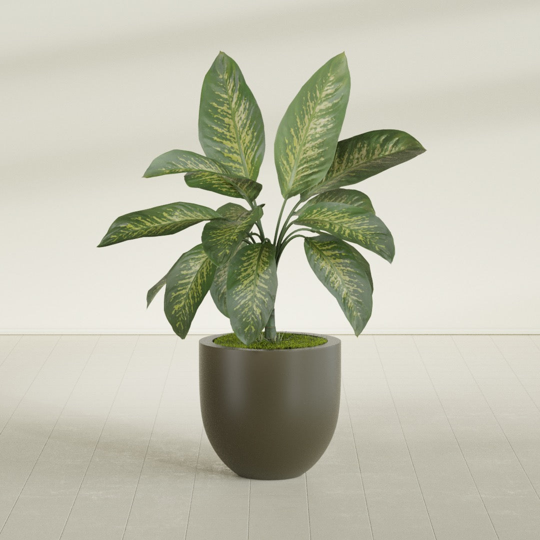 Alzira Bowl fiberglass planter in Matte Bronze, shown planted, in a sunlit interior