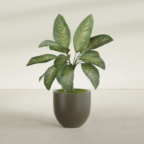 Alzira Bowl fiberglass planter in Matte Bronze, shown planted, in a sunlit interior