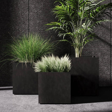 Reglito Cube Cosapots fiberglass planters, shown grouped in two finishes with ornamental grasses and a palm.