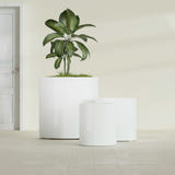 Rio Grande Cylinder fiberglass planter in Gloss Bright White, size range, in a sunlit interior