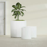Rio Grande Cylinder fiberglass planter in Gloss Bright White, size range, in a sunlit interior