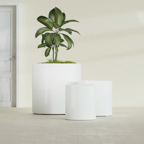 Rio Grande Cylinder fiberglass planter in Gloss Bright White, size range, in a sunlit interior