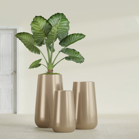 Saigon Tapered Round fiberglass planter in Gloss Metallic Gold, size range, in a sunlit interior