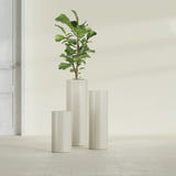 Corry Cylinder fiberglass planter in Satin Beige, size range, in a sunlit interior