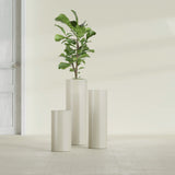 Corry Cylinder fiberglass planter in Satin Beige, size range, in a sunlit interior