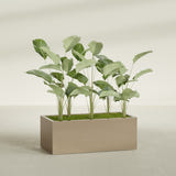 Torino Wide Rectangular fiberglass planter in Gloss Metallic Gold, shown planted, in a sunlit interior