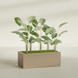 Torino Wide Rectangular fiberglass planter in Gloss Metallic Gold, shown planted, in a sunlit interior
