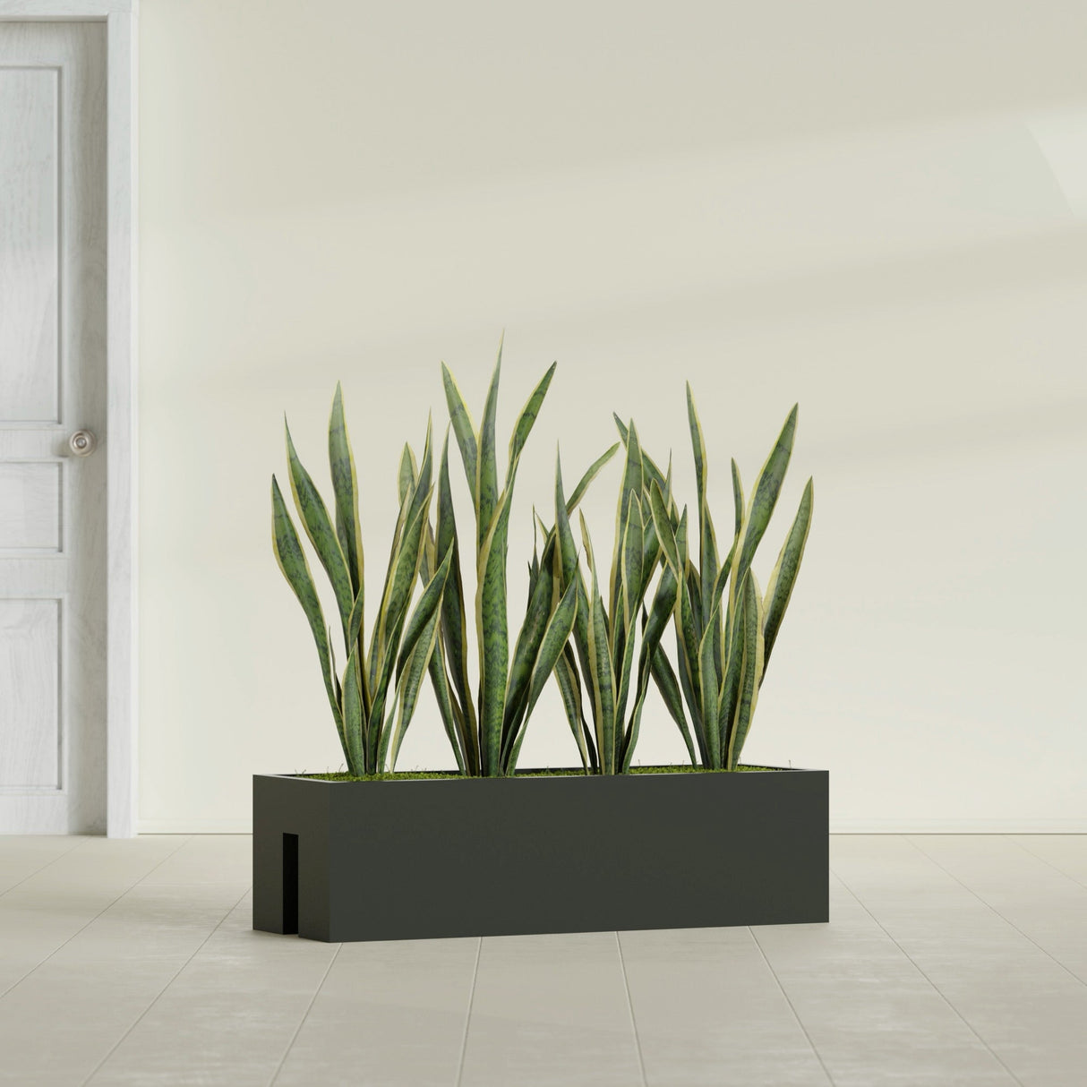 Tiergarden Railing fiberglass planter in Matte Charcoal, shown planted, in a sunlit interior