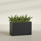Brisbane Corner fiberglass planter in Matte Black, shown planted, in a sunlit interior
