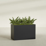 Brisbane Rectangular fiberglass planter in Matte Black, shown planted, in a sunlit interior