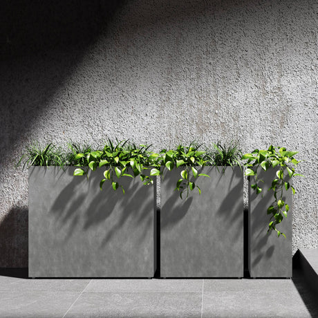 Reglo modular rectangular Cosapots fiberglass planters, shown in a run of three with trailing planting against a concrete wall.