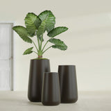 Saigon Tapered Round fiberglass planter in Matte Dark Brown, size range, in a sunlit interior