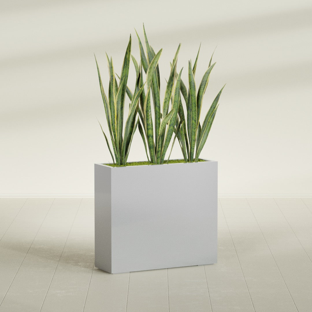 Delray Corner fiberglass planter in Metallic Silver, shown planted, in a sunlit interior