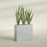 Delray Rectangular fiberglass planter in Metallic Silver, shown planted, in a sunlit interior