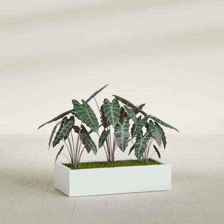 Antwerp Corner fiberglass planter in Matte Bright White, shown planted, in a sunlit interior