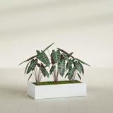 Antwerp Rectangular fiberglass planter in Matte Bright White, shown planted, in a sunlit interior
