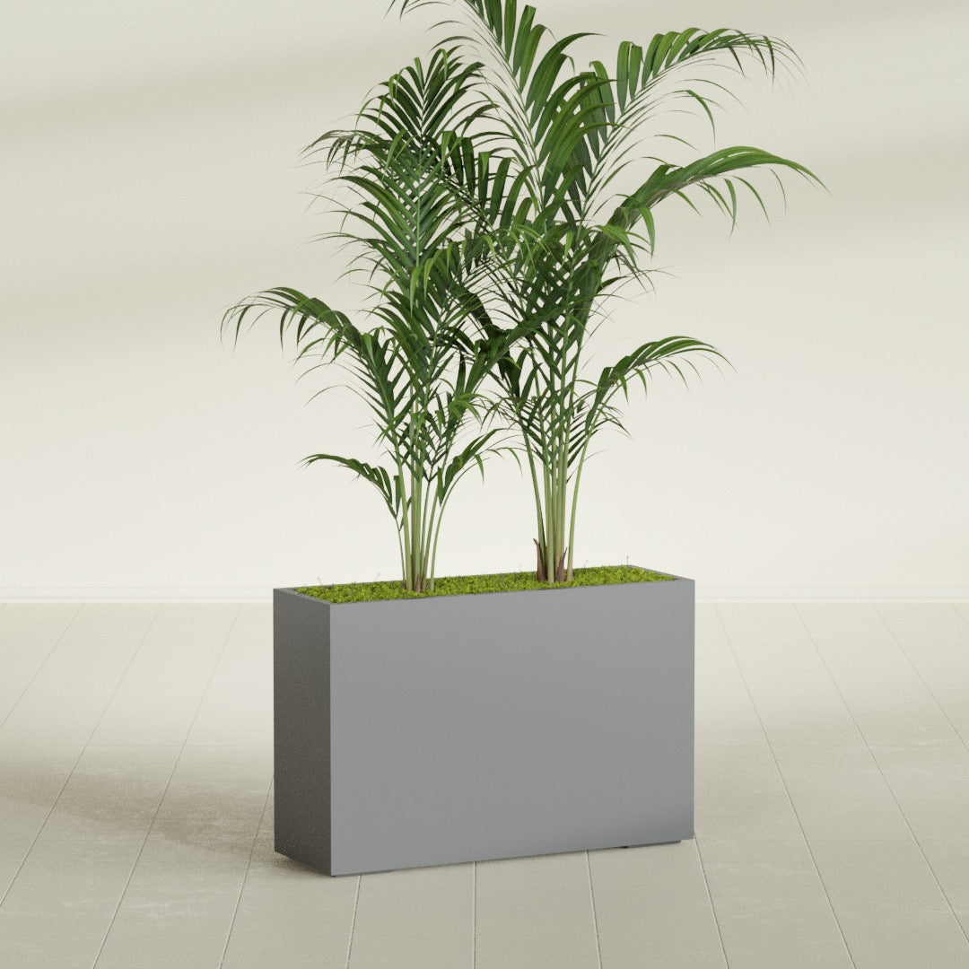 Potsdam Corner fiberglass planter in Matte Gunmetal, shown planted, in a sunlit interior