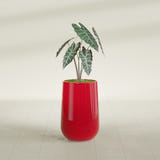 Hayden Urn fiberglass planter in Gloss Red, shown planted, in a sunlit interior