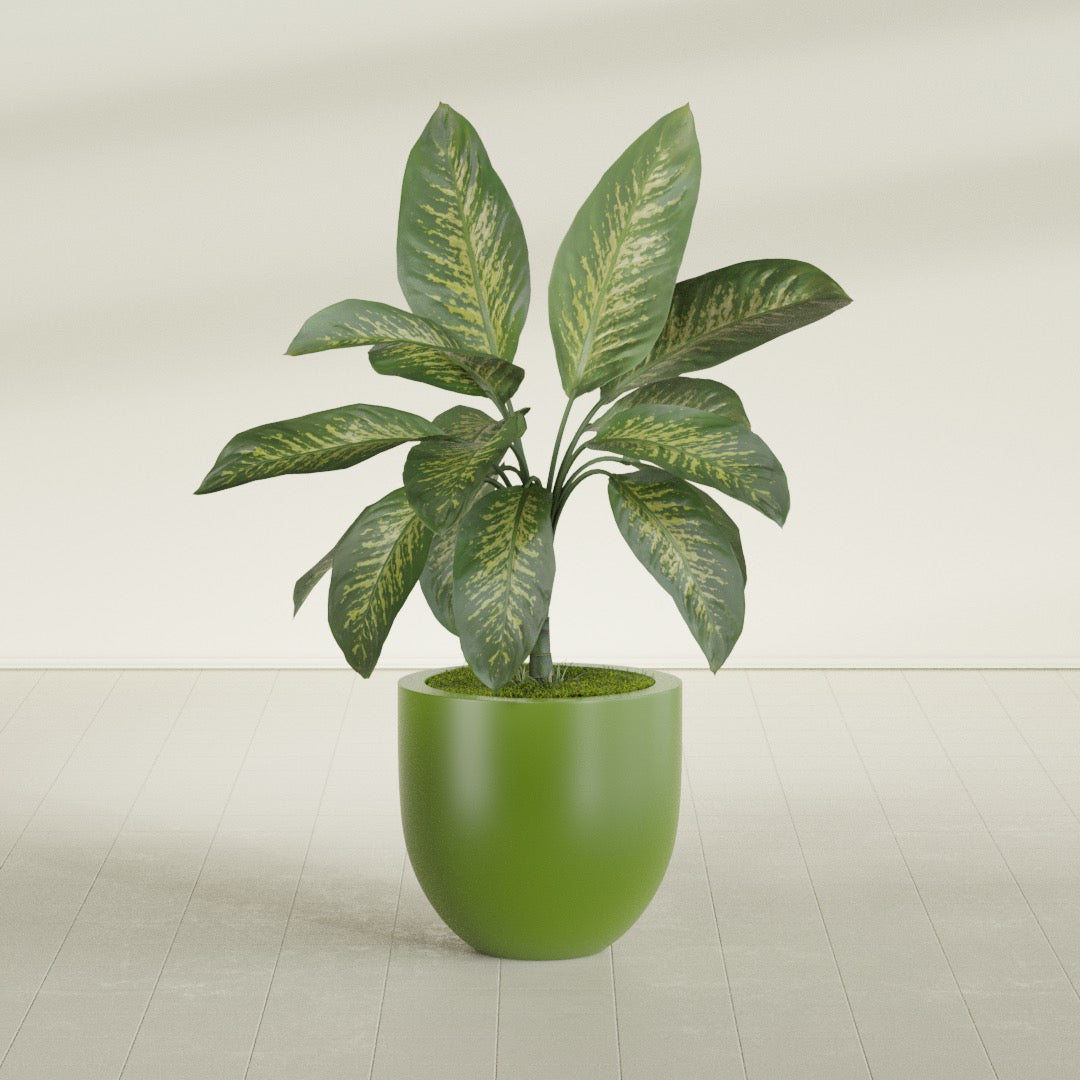 Alzira Bowl fiberglass planter in Satin Green, shown planted, in a sunlit interior