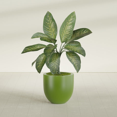 Alzira Bowl fiberglass planter in Satin Green, shown planted, in a sunlit interior