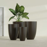 Brannan Tapered Round fiberglass planter in Matte Dark Brown, size range, in a sunlit interior