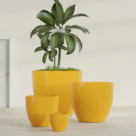 Wannsee Round fiberglass planter in Gloss Saffron, size range, in a sunlit interior