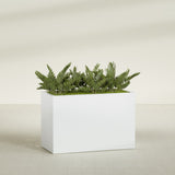 Brisbane Rectangular fiberglass planter in Matte Bright White, shown planted, in a sunlit interior