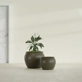 Shanghai Fishbowl fiberglass planter in Matte Bronze, size range, in a sunlit interior
