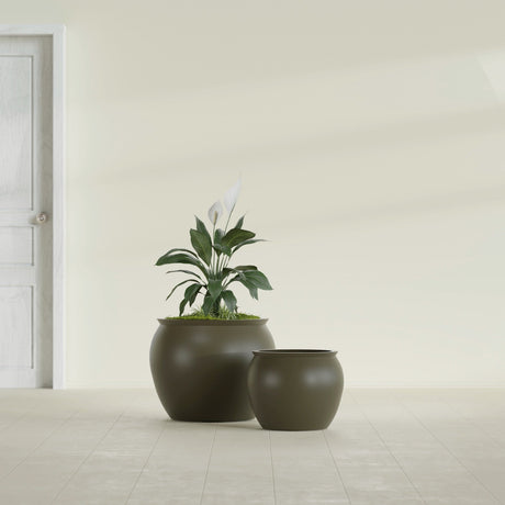 Shanghai Fishbowl fiberglass planter in Matte Bronze, size range, in a sunlit interior