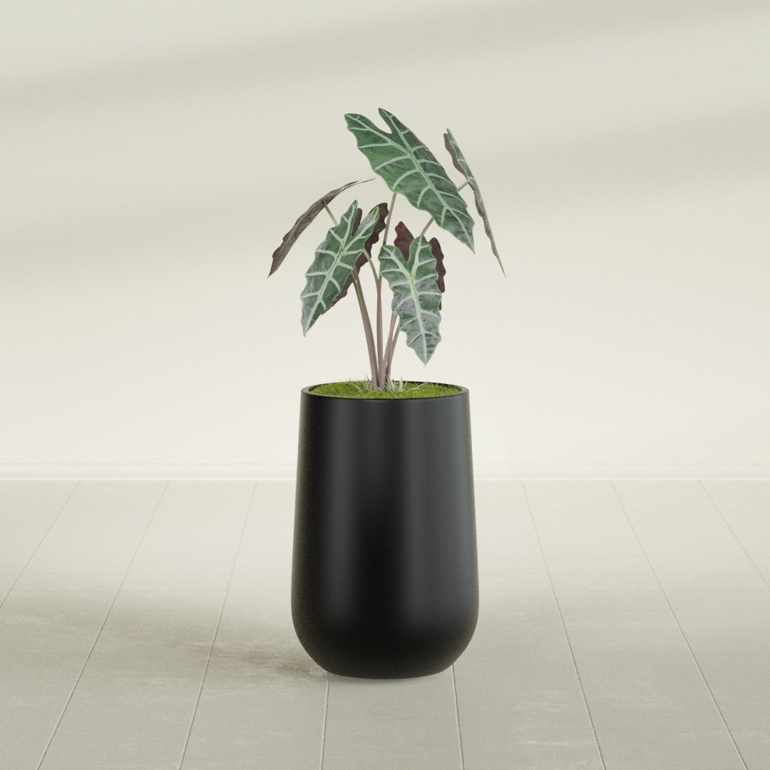 Hayden Urn fiberglass planter in Matte Black, shown planted, in a sunlit interior