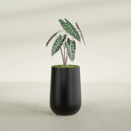 Hayden Urn fiberglass planter in Matte Black, shown planted, in a sunlit interior