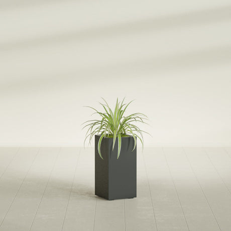 Hollywood Corner fiberglass planter in Matte Charcoal, shown planted, in a sunlit interior