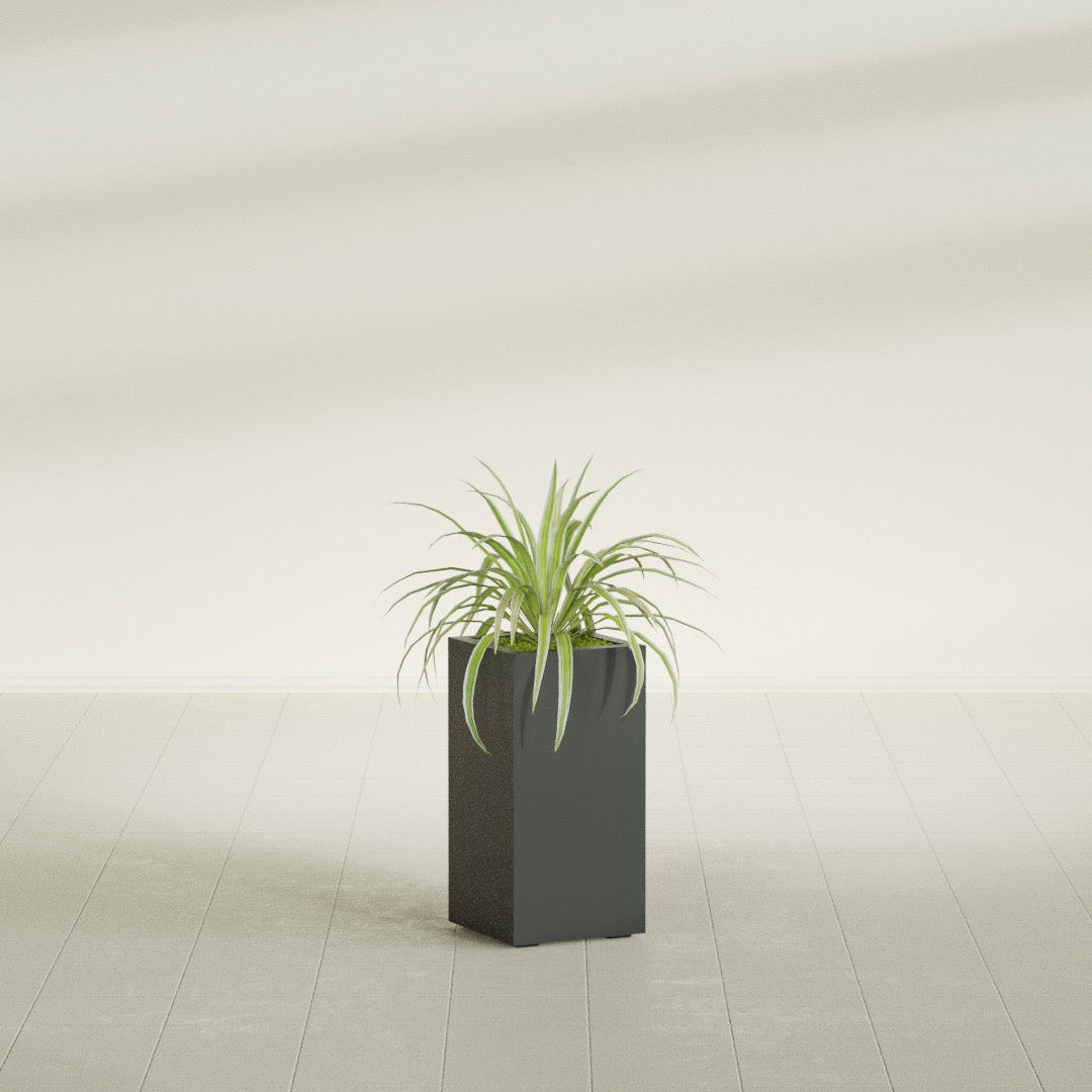 Hollywood Narrow Rectangular fiberglass planter in Matte Charcoal, shown planted, in a sunlit interior