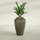 Barà Jar fiberglass planter in Matte Bronze, shown planted, in a sunlit interior