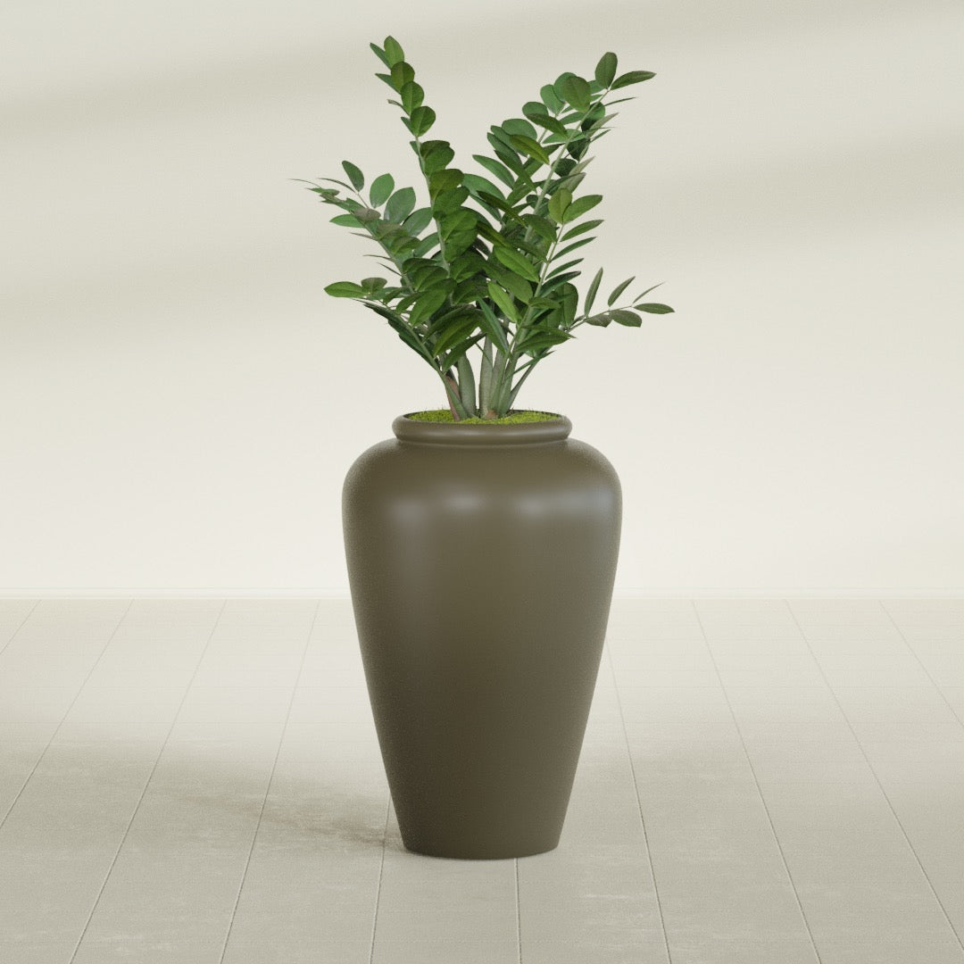 Barà Jar fiberglass planter in Matte Bronze, shown planted, in a sunlit interior