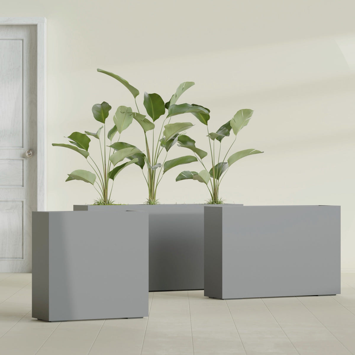 Milano Narrow Rectangular fiberglass planter in Matte Gunmetal, shown planted, in a sunlit interior