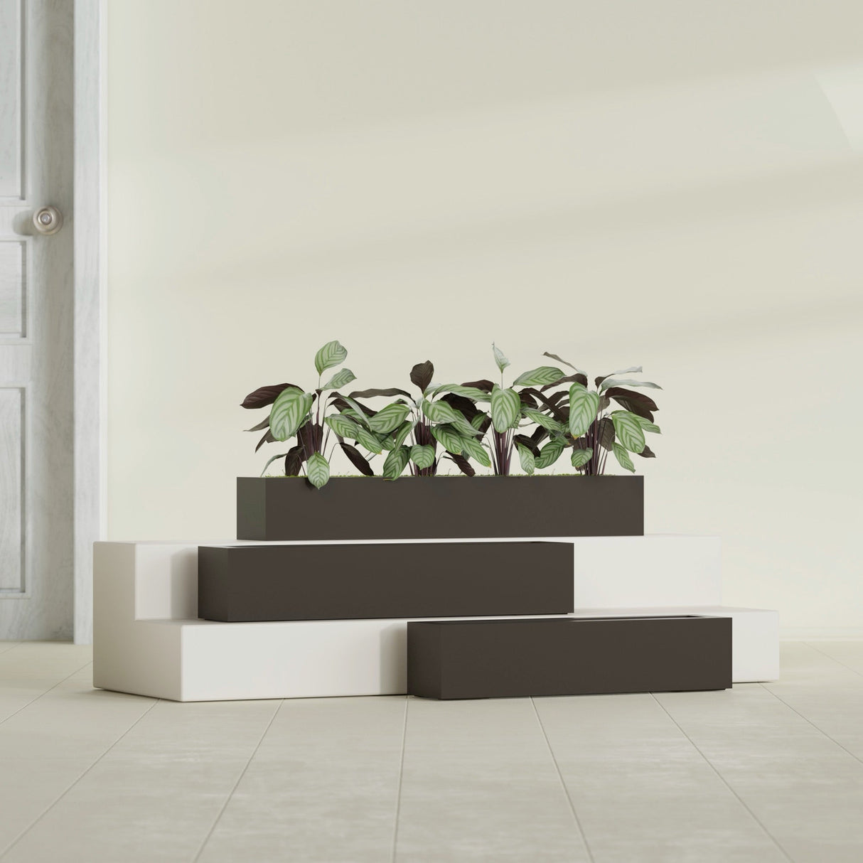 Salon Box fiberglass planter in Matte Dark Brown, size range, in a sunlit interior