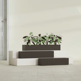 Salon Box fiberglass planter in Matte Dark Brown, size range, in a sunlit interior