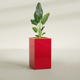 Darwin Corner fiberglass planter in Gloss Red, shown planted, in a sunlit interior