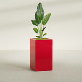 Darwin Corner fiberglass planter in Gloss Red, shown planted, in a sunlit interior