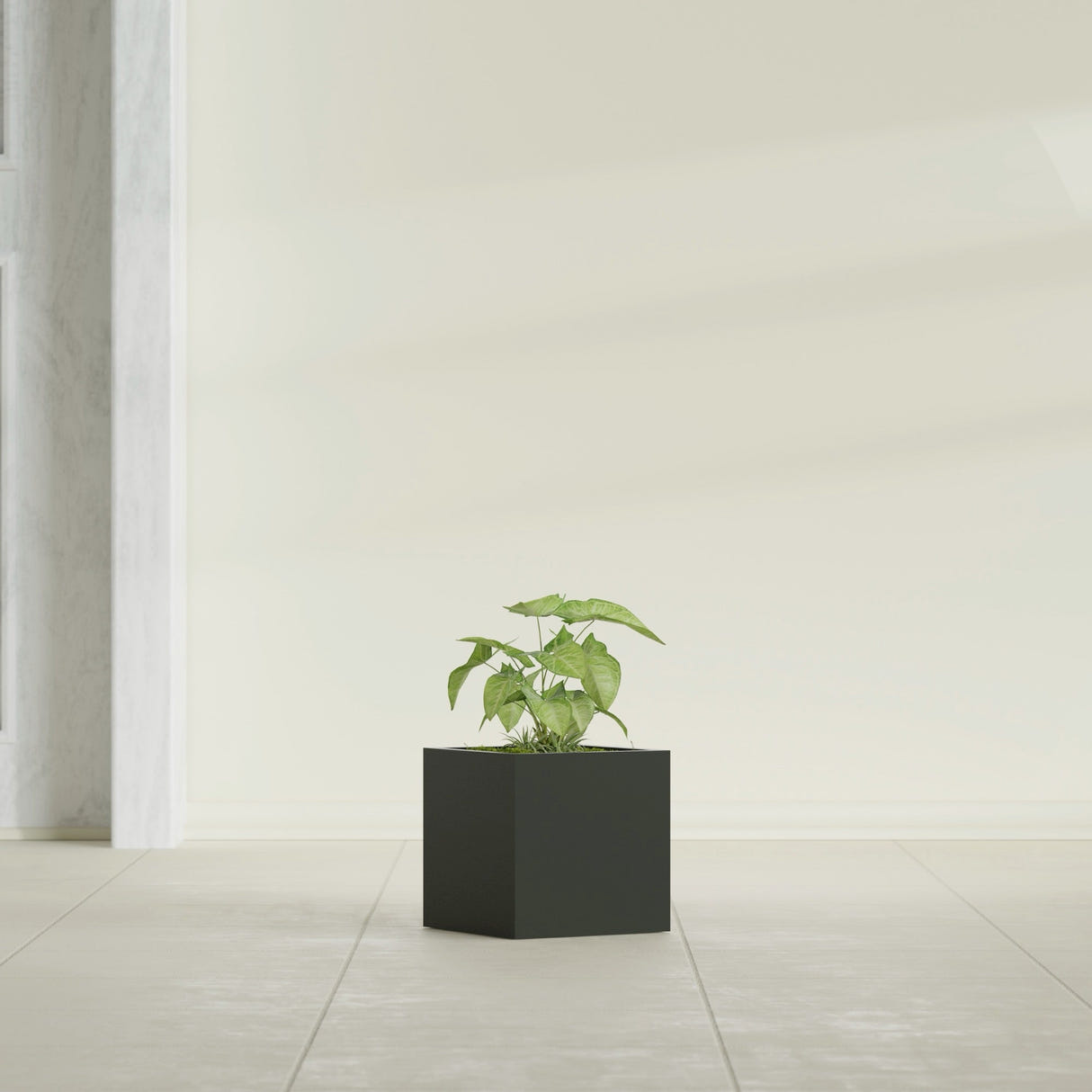 Monaco Cube fiberglass planter in Matte Charcoal, shown planted, in a sunlit interior