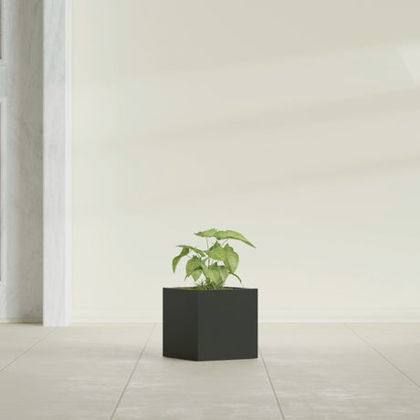 Monaco Cube fiberglass planter in Matte Charcoal, shown planted, in a sunlit interior