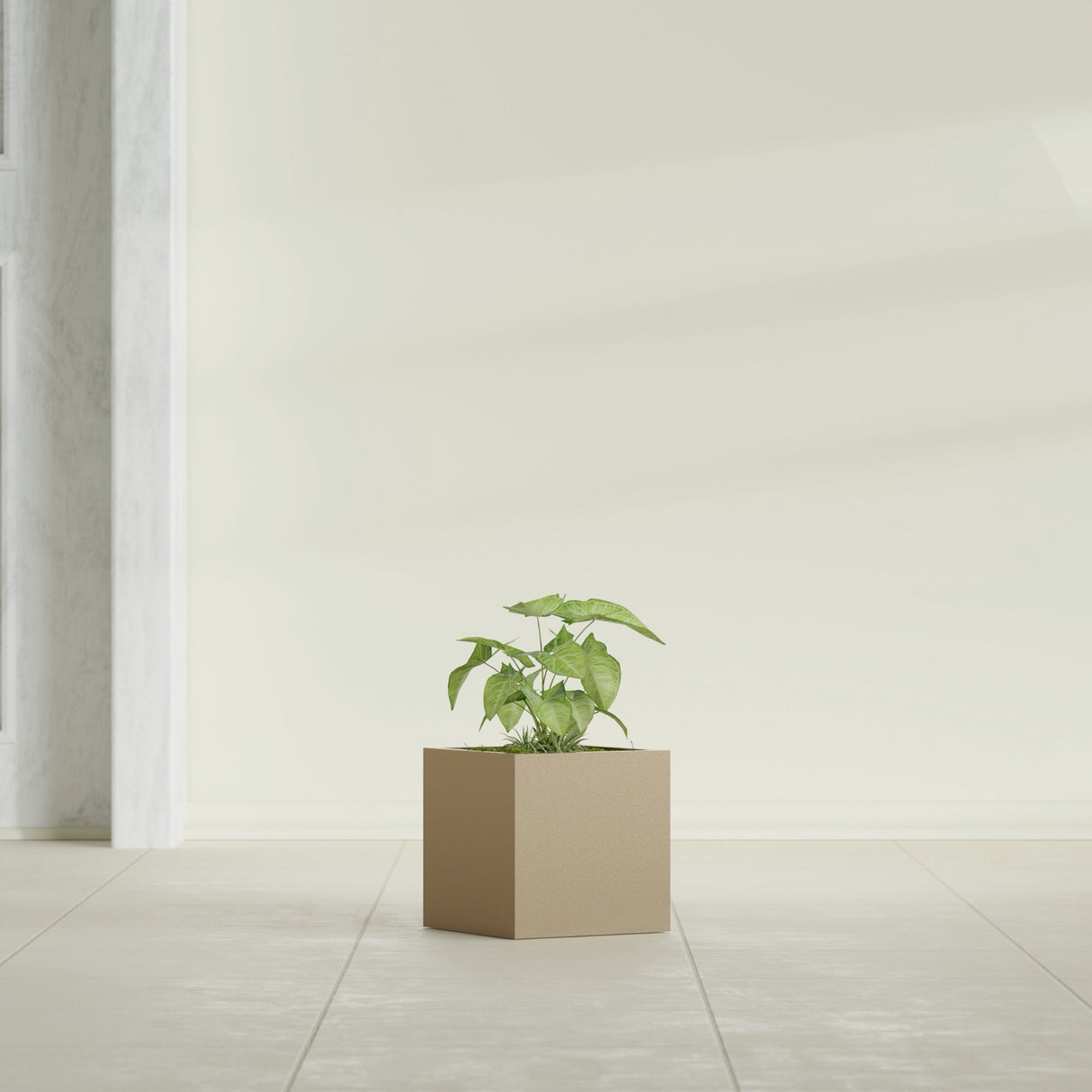 Monaco Cube fiberglass planter in Gloss Metallic Gold, shown planted, in a sunlit interior