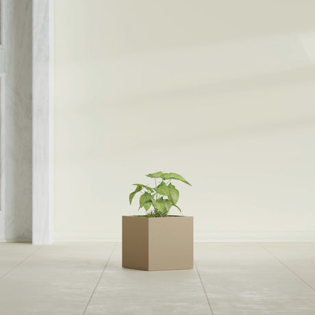 Monaco Cube fiberglass planter in Gloss Metallic Gold, shown planted, in a sunlit interior