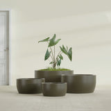 Casablanca Bowl fiberglass planter in Matte Bronze, size range, in a sunlit interior