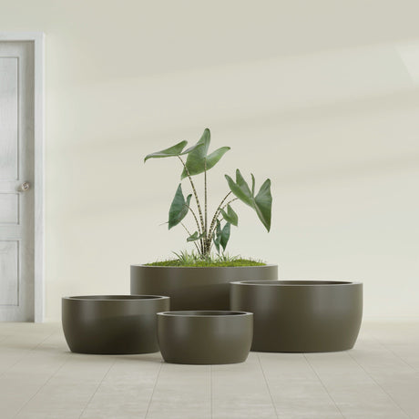 Casablanca Bowl fiberglass planter in Matte Bronze, size range, in a sunlit interior